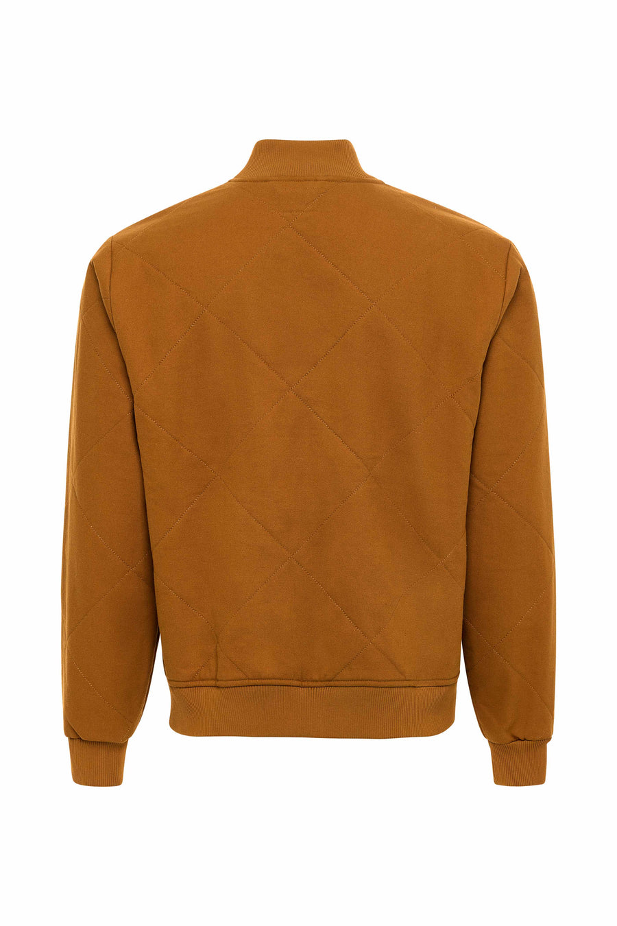 Regular Fit Canvas Jacket